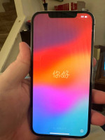 iPhone 12 Pro Max 256 blue