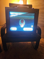 17" Off Brand PVM (800 line crt)