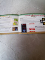 The Legend of Zelda four swords gameboy advance manual only