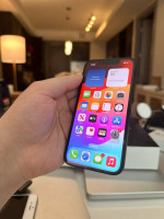 iPhone 13 Mini 256GB Unlocked For Any Carrier