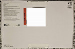 Brand New/Sealed–Samsung Tablet S9+ 12GB RAM/512GB & Samsung Keyboard Cover