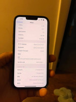 iPhone 13 Pro Max, XS & 8 Plus