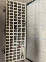 Russwin  R-6 Keying Kit W Extra Pins