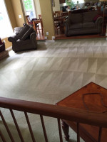 $99 Carpet Cleaning🏡Any 6 Rooms or Staircases (Essential) / Call Rigo: