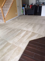 $99 Carpet Cleaning🏡Any 6 Rooms or Staircases (Essential) / Call Rigo: