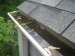 GUTTER CLEANING AND REPAIR SPECIAL ONE STORY $100 TWO STORY $150