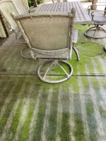 Window Cleaning and Pressure Washing (30 years Experience)