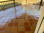 $35 Carpet Cleaning Service - Call/text to schedule