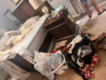 Cleaning services