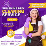 🏠✨ 🎉 $20 OFF 🎉 PROFESSIONAL HOUSE CLEANING SERVICES✨ 🧼🧴