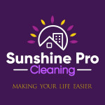 🏠✨ 🎉 $20 OFF 🎉 PROFESSIONAL HOUSE CLEANING SERVICES✨ 🧼🧴