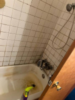 House cleaning Services