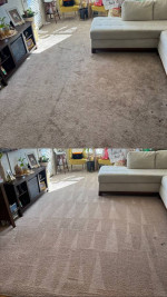 STEAM Carpet Cleaning SPECIAL! 3 rooms & hallway $99!!!