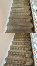 STEAM Carpet Cleaning SPECIAL! 3 rooms & hallway $99!!!