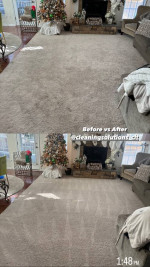 STEAM Carpet Cleaning SPECIAL! 3 rooms & hallway $99!!!