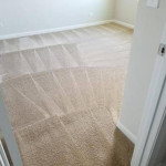 ⭐️⭐️⭐️⭐️⭐️AFFORDABLE CARPET CLEANING⭐️⭐️⭐️⭐️