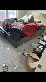 Santos’s cleaning in Massachusetts