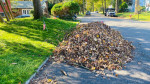 Spring chest arond thecorner time cleaning with Anthony landscaping
