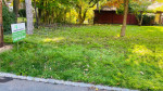 Spring chest arond thecorner time cleaning with Anthony landscaping