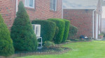 Spring chest arond thecorner time cleaning with Anthony landscaping
