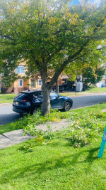 Spring chest arond thecorner time cleaning with Anthony landscaping