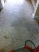 Carpet Cleaning ! Furniture Cleaning ! Tile & Grout Cleaning!