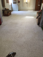 Carpet Cleaning ! Furniture Cleaning ! Tile & Grout Cleaning!