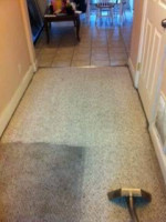 Carpet Cleaning ! Furniture Cleaning ! Tile & Grout Cleaning!