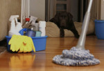 House cleaning