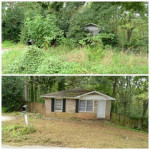 SPRING CLEANING FOR LAWNS: LEAF CLEANUPS; OVERGROWN LOT CLEARINGS