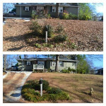SPRING CLEANING FOR LAWNS: LEAF CLEANUPS; OVERGROWN LOT CLEARINGS