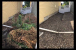 LANDSCAPING &  FALL / SPRING CLEANING & FENCE