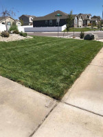 LANDSCAPING &  FALL / SPRING CLEANING & FENCE