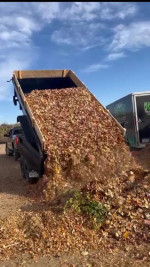 LANDSCAPING &  FALL / SPRING CLEANING & FENCE