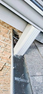 Call me for your gutter cleaning! More than reasonable rates!