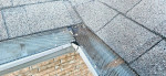 Call me for your gutter cleaning! More than reasonable rates!