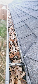 Call me for your gutter cleaning! More than reasonable rates!