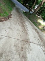 PRESSURE WASHING , ROOF CLEANING