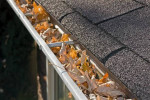 GUTTER CLEANING  From $100