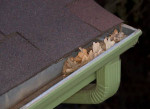 GUTTER CLEANING  From $100