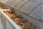 GUTTER CLEANING  From $100