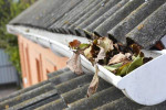 GUTTER CLEANING  From $100