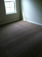 HOUSE CLEANING SERVICES MOVE IN-OUT 919 400 3681 -AFF RATES