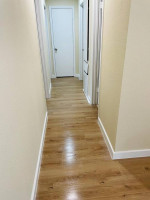 🏠 🌟✨🧹 🏠 HOUSE CLEANING, CLEANER, CARPET CLEANING, MOVE IN/OUT
