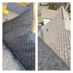 PRESSURE WASHING,HOUSE SOFT WASH, GUTTER CLEANING, ROOF SOFT WASH, HOME WINDOW C