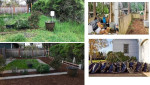 Winter Cleaning, Yard Mowing, Scalping, Spraying, etc