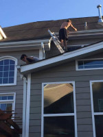 Pressure washing window cleaning Gutter cleaning Gutter Guard