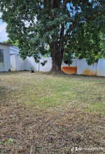š„Tree Trimming, Yard Cleaning, Lawn Service, Junk Removalš„