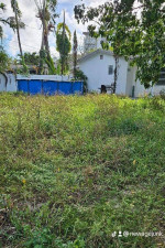 š„Tree Trimming, Yard Cleaning, Lawn Service, Junk Removalš„