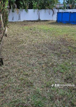 š„Tree Trimming, Yard Cleaning, Lawn Service, Junk Removalš„